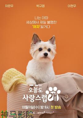 今天也很可爱的狗